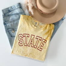 Load image into Gallery viewer, State Arc Comfort Colors Colorblast Tee