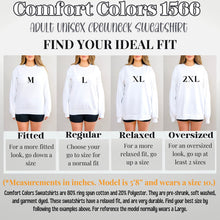 Load image into Gallery viewer, Airplane Mode Sweatshirt